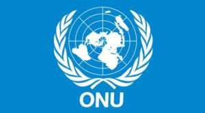 Logo Partenaire ONU
